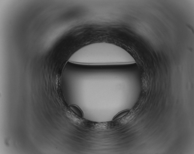X0000098020574200803280756