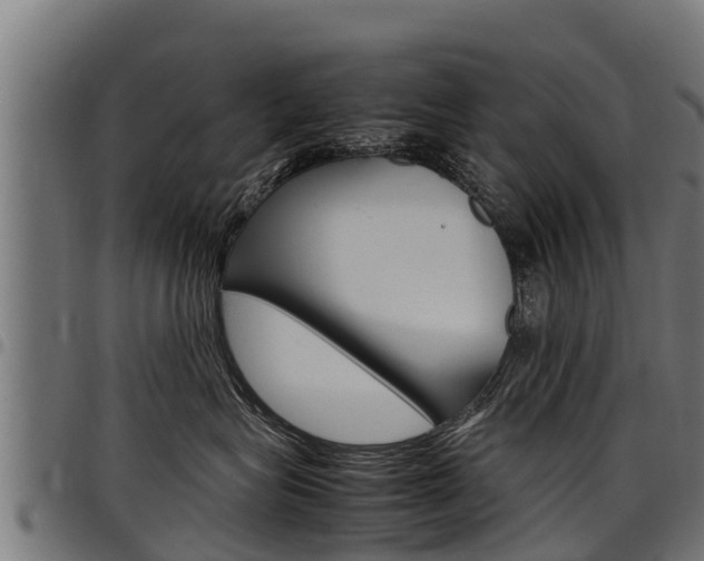 X0000098020575200803280756