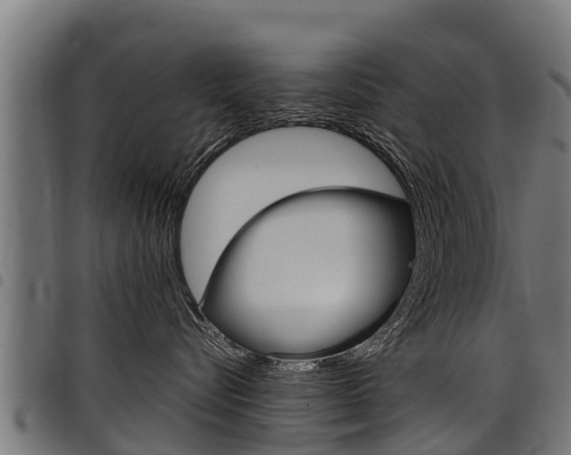 X0000098020576200803280756