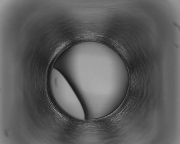 X0000098020578200803280755