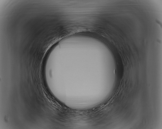 X0000098020579200803280755