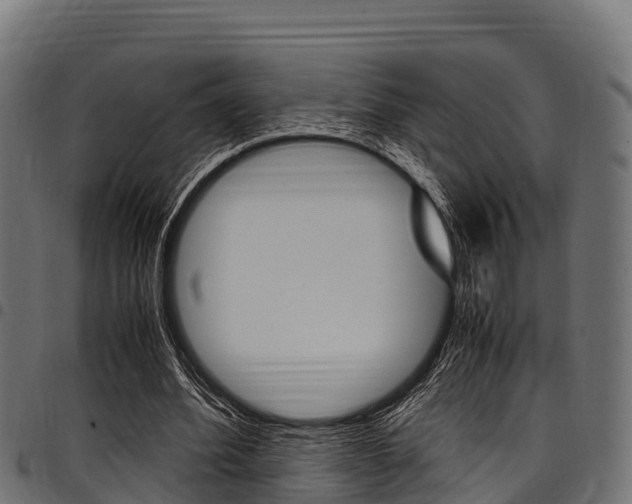X0000098020580200803280755