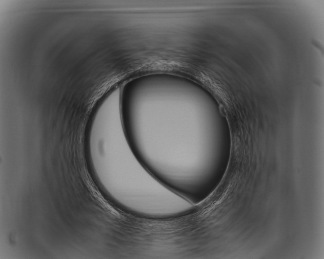 X0000098020581200803280755