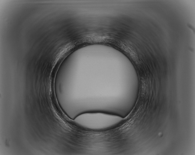 X0000098020582200803280755