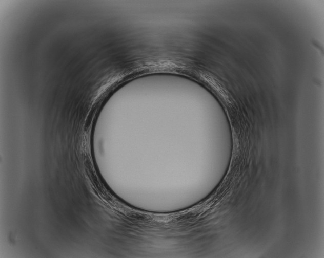 X0000098020583200803280755
