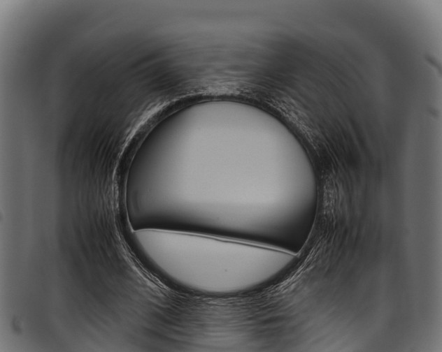 X0000098020584200803280755
