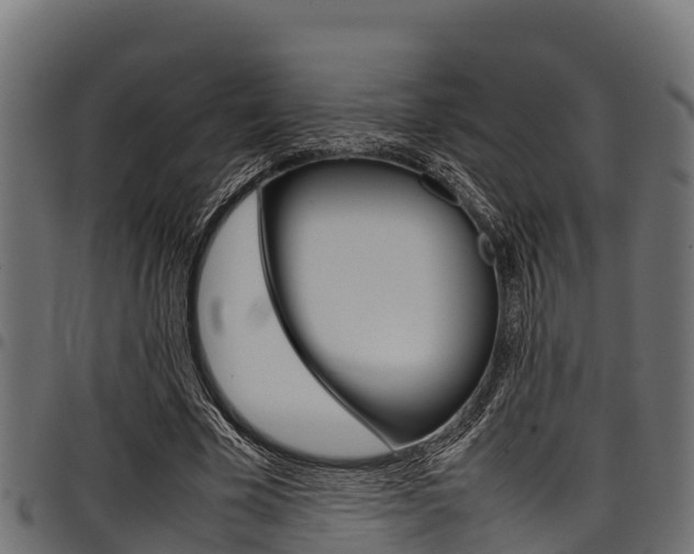X0000098020585200803280755