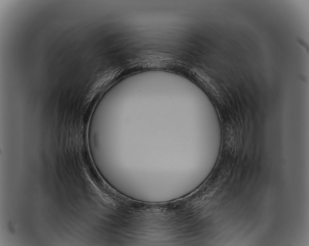 X0000098020586200803280755