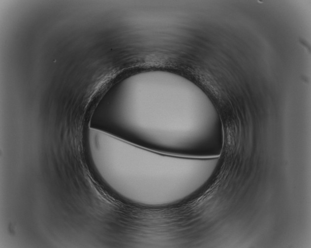 X0000098020588200803280755