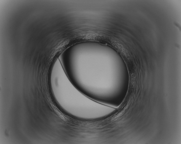 X0000098020589200803280755
