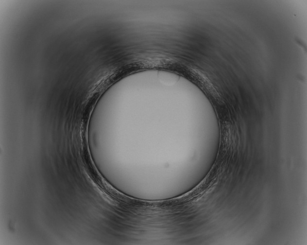 X0000098020590200803280755