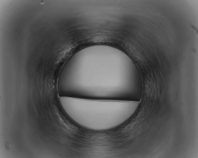 X0000098020592200803280755