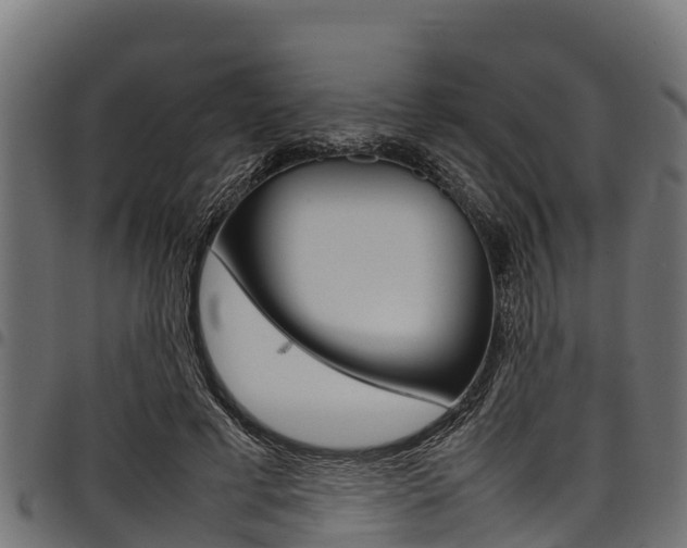 X0000098020593200803280755