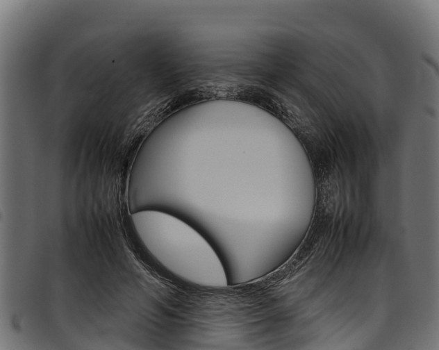 X0000098020594200803280755