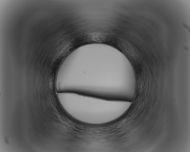 X0000098020595200803280755