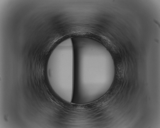 X0000098020596200803280755