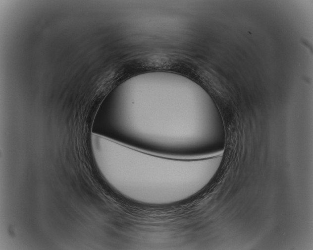 X0000098020597200803280755