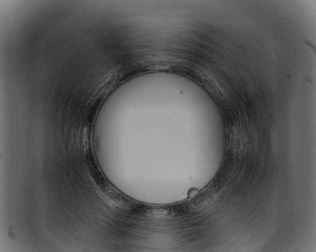 X0000098020598200803280755