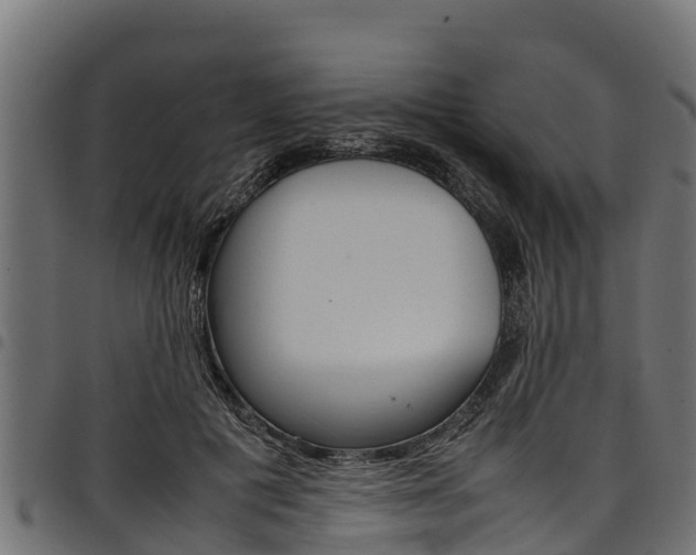 X0000098020601200803280755