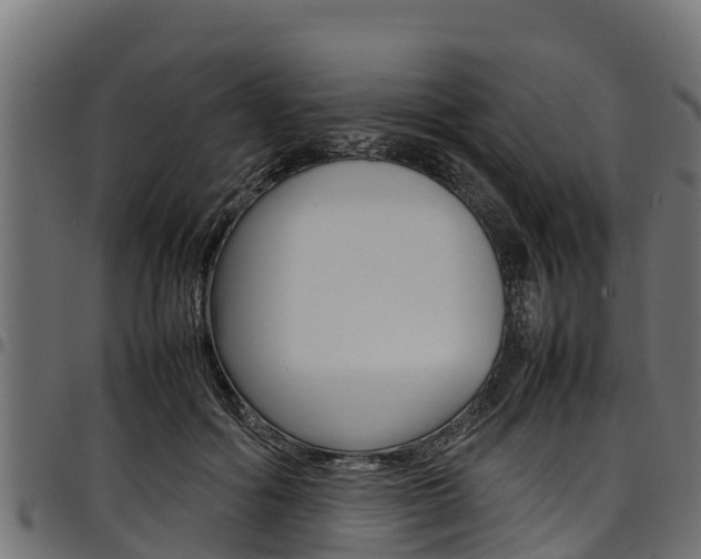 X0000098020602200803280755