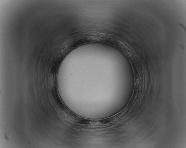 X0000098020605200803280755