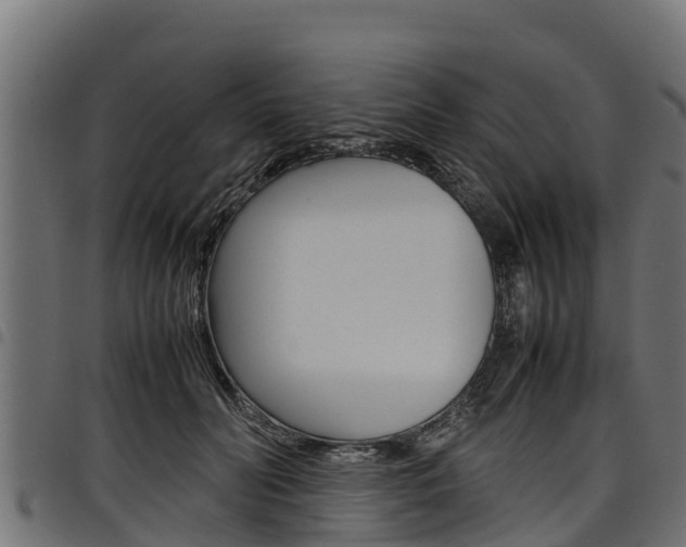 X0000098020606200803280755