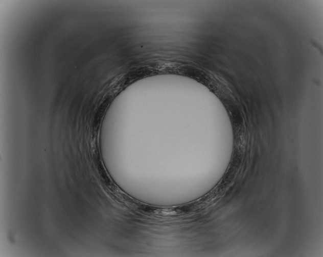 X0000098020607200803280755