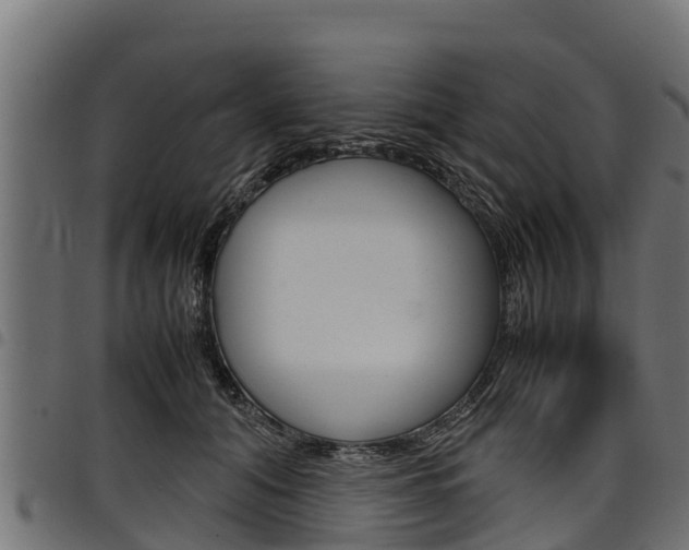 X0000098020608200803280755