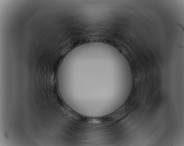 X0000098020610200803280755