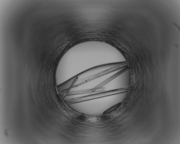 X0000098020611200803280755