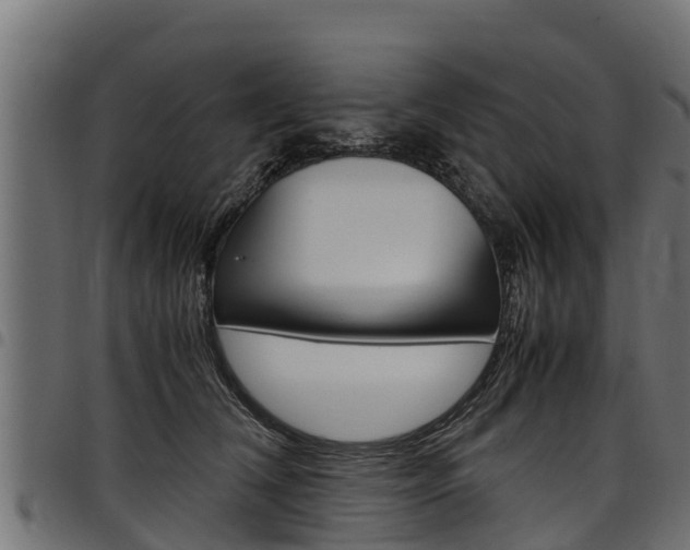 X0000098020612200803280755