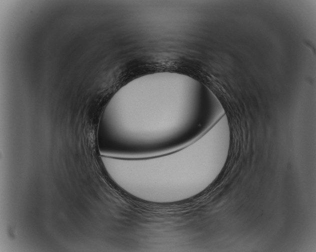 X0000098020613200803280755