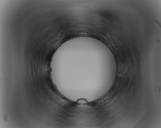X0000098020614200803280755