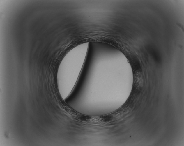 X0000098020615200803280755