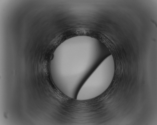 X0000098020616200803280754
