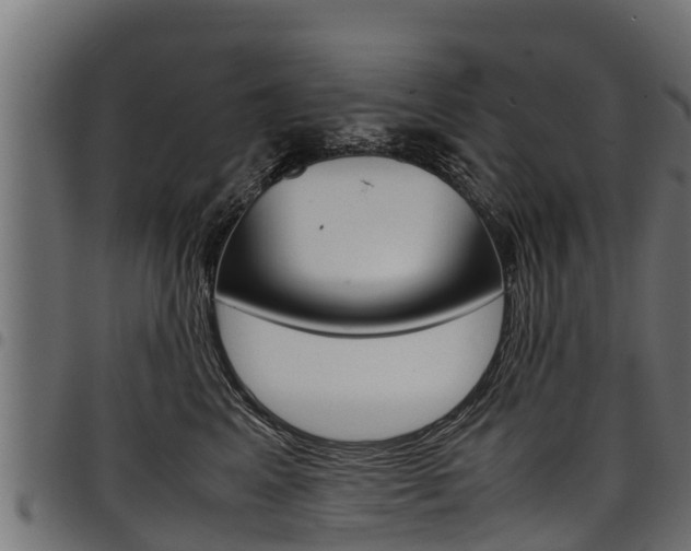 X0000098020617200803280754