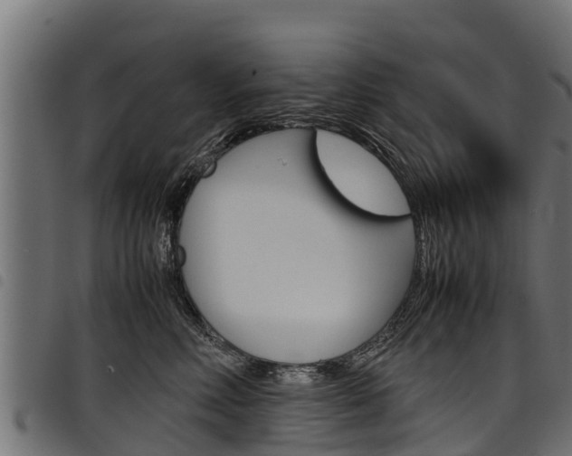 X0000098020618200803280754