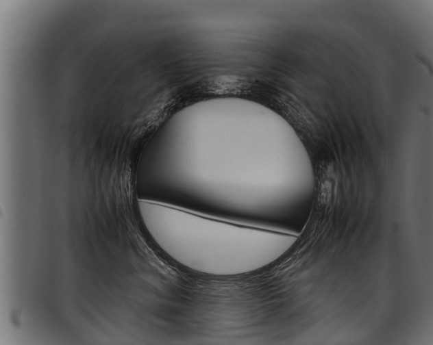 X0000098020620200803280754