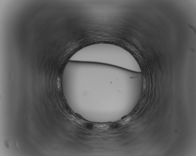 X0000098020621200803280754