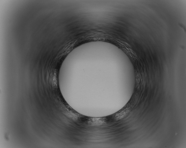 X0000098020622200803280754