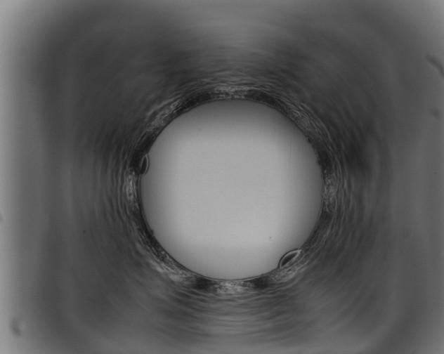 X0000098020623200803280754