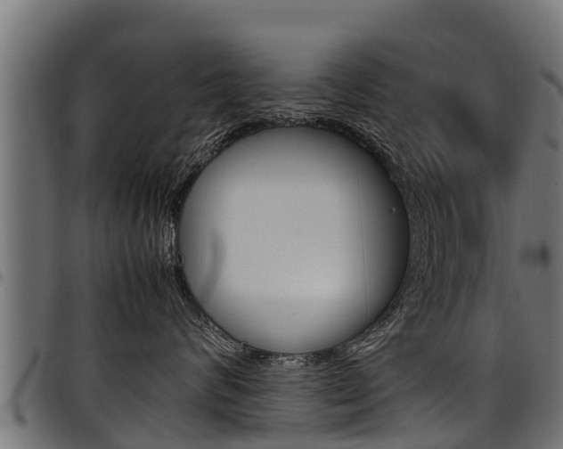 X0000098020624200803280754