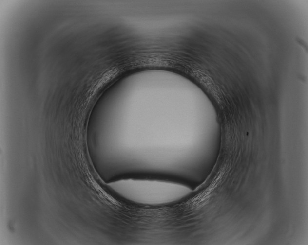 X0000098020625200803280754