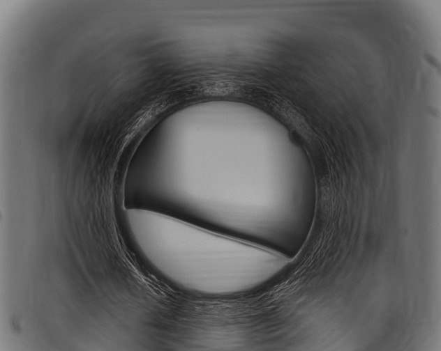 X0000098020626200803280754