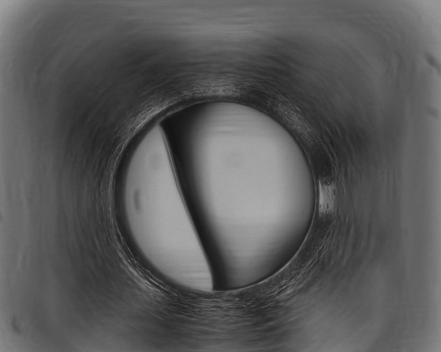 X0000098020627200803280754