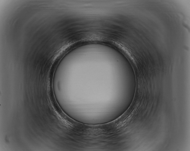 X0000098020629200803280754