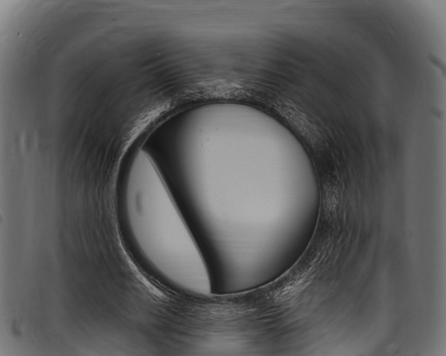 X0000098020630200803280754