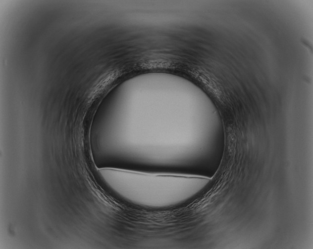 X0000098020631200803280754