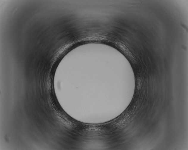 X0000098020632200803280754