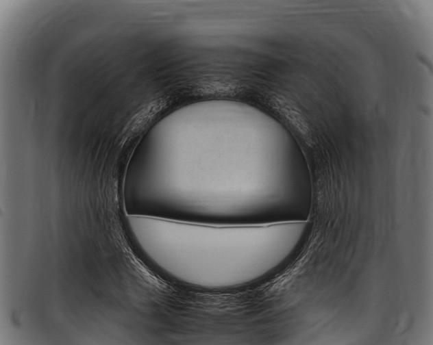 X0000098020633200803280754